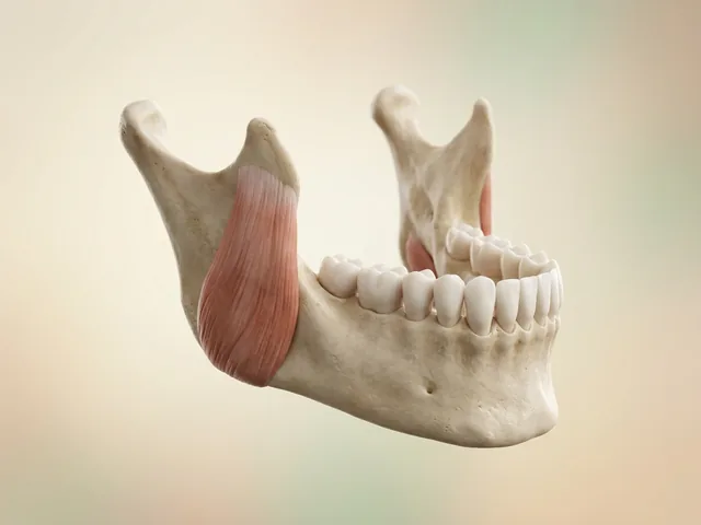 The masseter muscle relaxed and slimmer