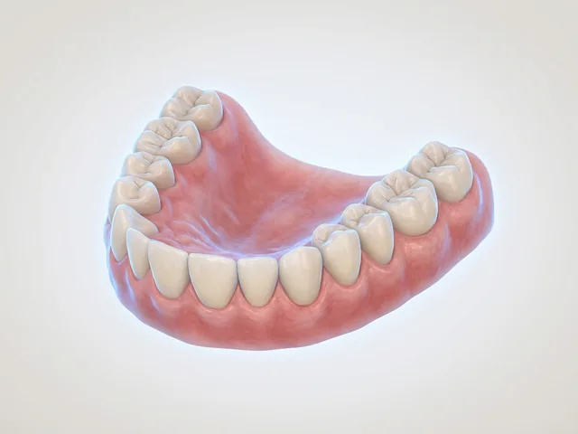 Digital scan of the teeth